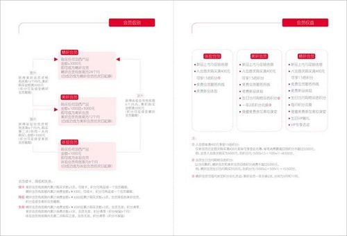 四个石头 射洪县画册设计与企业形象策划的专业力量